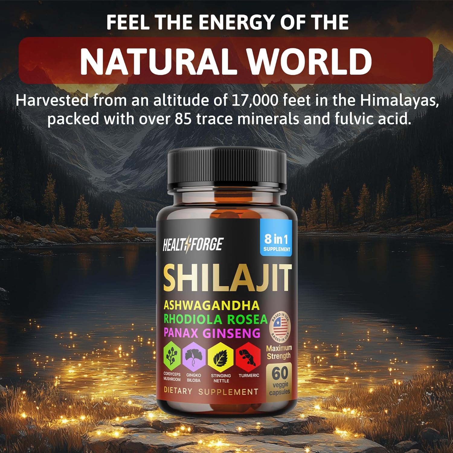Shilajit Capsules Organic Extract Blend 60 Capsules For Men & Women - Shilajit Supplement 9000Mg Ashwagandha, Immune Support Supplement 2000Mg Rhodiola Supplement, Ginko Ginkgo Biloba