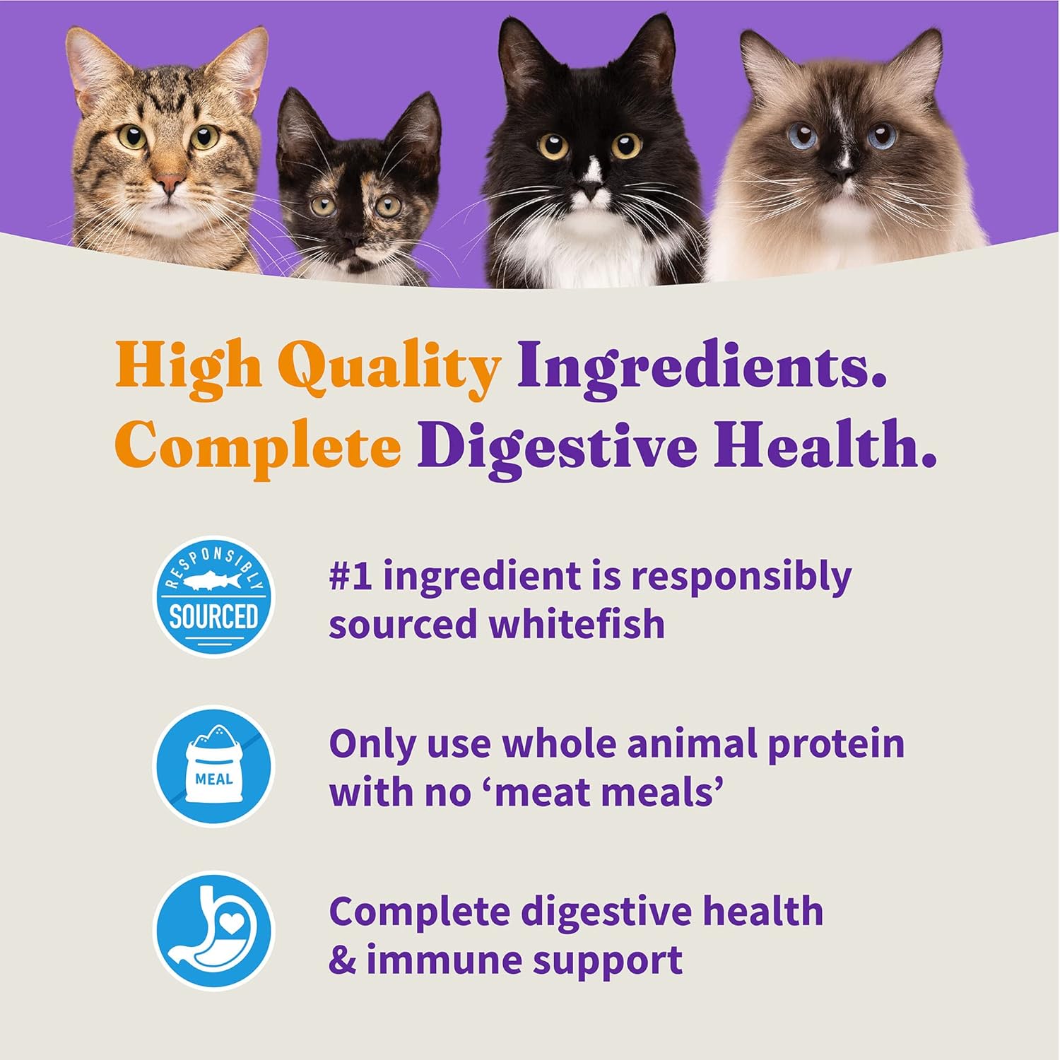 Halo Holistic Cat Food Dry, Wild-caught Whitefish Recipe for Sensitive Stomach Support, Complete Digestive Health, Dry Cat Food Bag, Sensitive Stomach Formula, 10-lb Bag : Pet Supplies