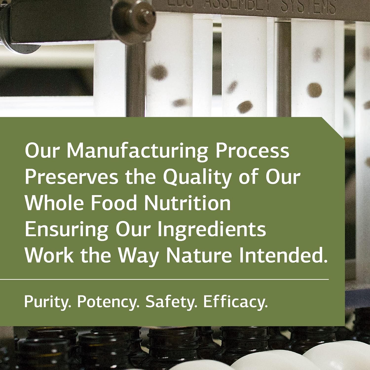 Standard Process Fen-Cho - Whole Food Bowel and Digestive Health with Collinsonia Root, Fenugreek Seed, Bile Salts, and Okra Fruit - 90 Capsules : Health & Household