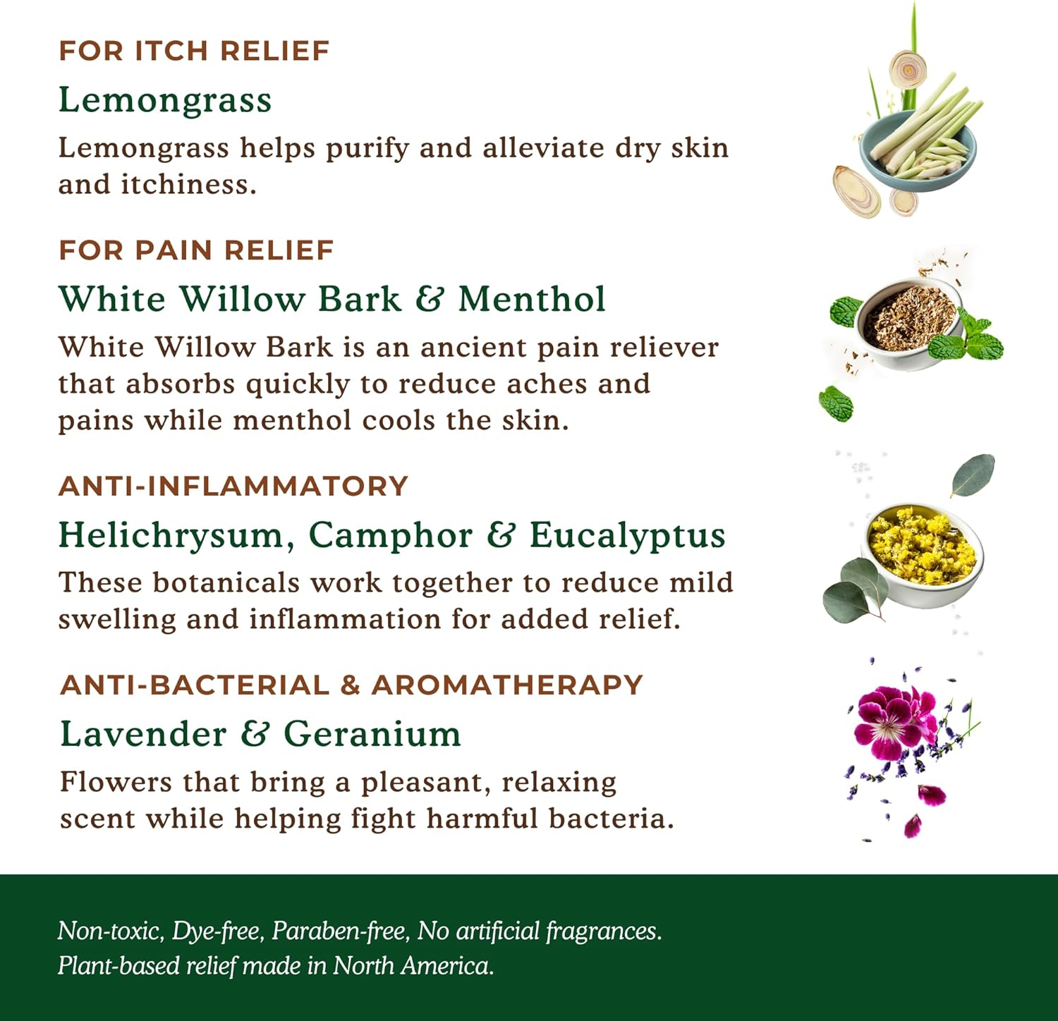 Nature's Willow Itch Relief Lotion with White Willow Bark for Soothing Skin | Natural Anti Itch Lotion Provides Relief from Bug Bites, Rash, Sunburn and More | Made with Essential Oils | 3.5oz (3) : Health & Household