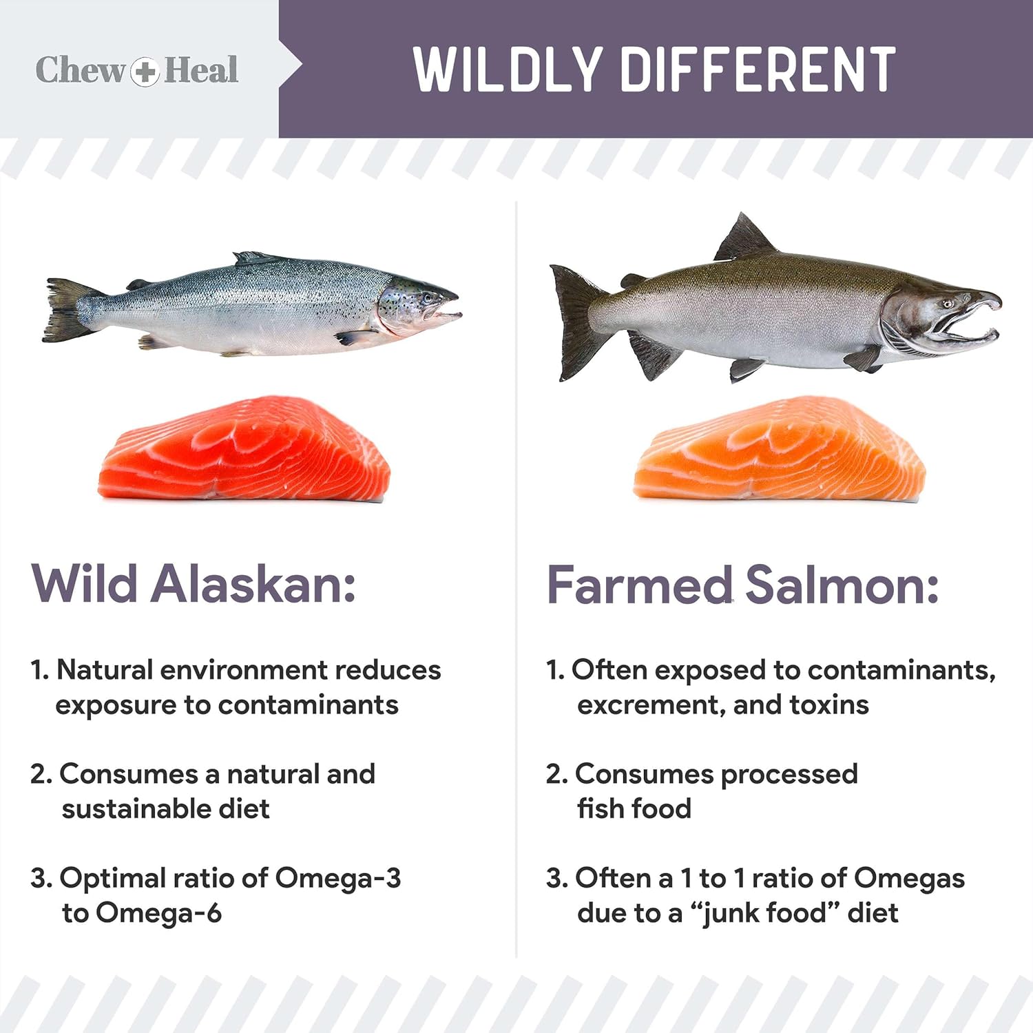Chew + Heal Labs Seniors Soft Jerky Salmon Dog Treats - 5 oz of Omega Jerky - Dog Joint Supplement with Wild Alaskan Salmon and Turmeric - Made in The USA : Pet Supplies
