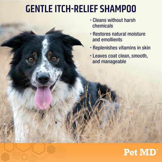 Pet Md Oatmeal & Aloe Shampoo For Dogs And Cats - Nourishing Anti Itch For Sensitive Dry Skin & Flaking - Professional Grooming & Moisturizing Dog Shampoo Gallon