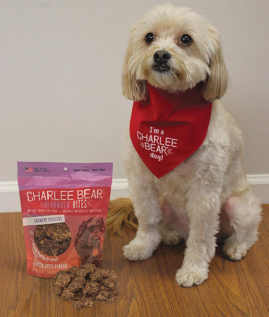 Charlee Bear Bearnola Bites Dog Treats, Pumpkin Spice Flavor, 8Oz