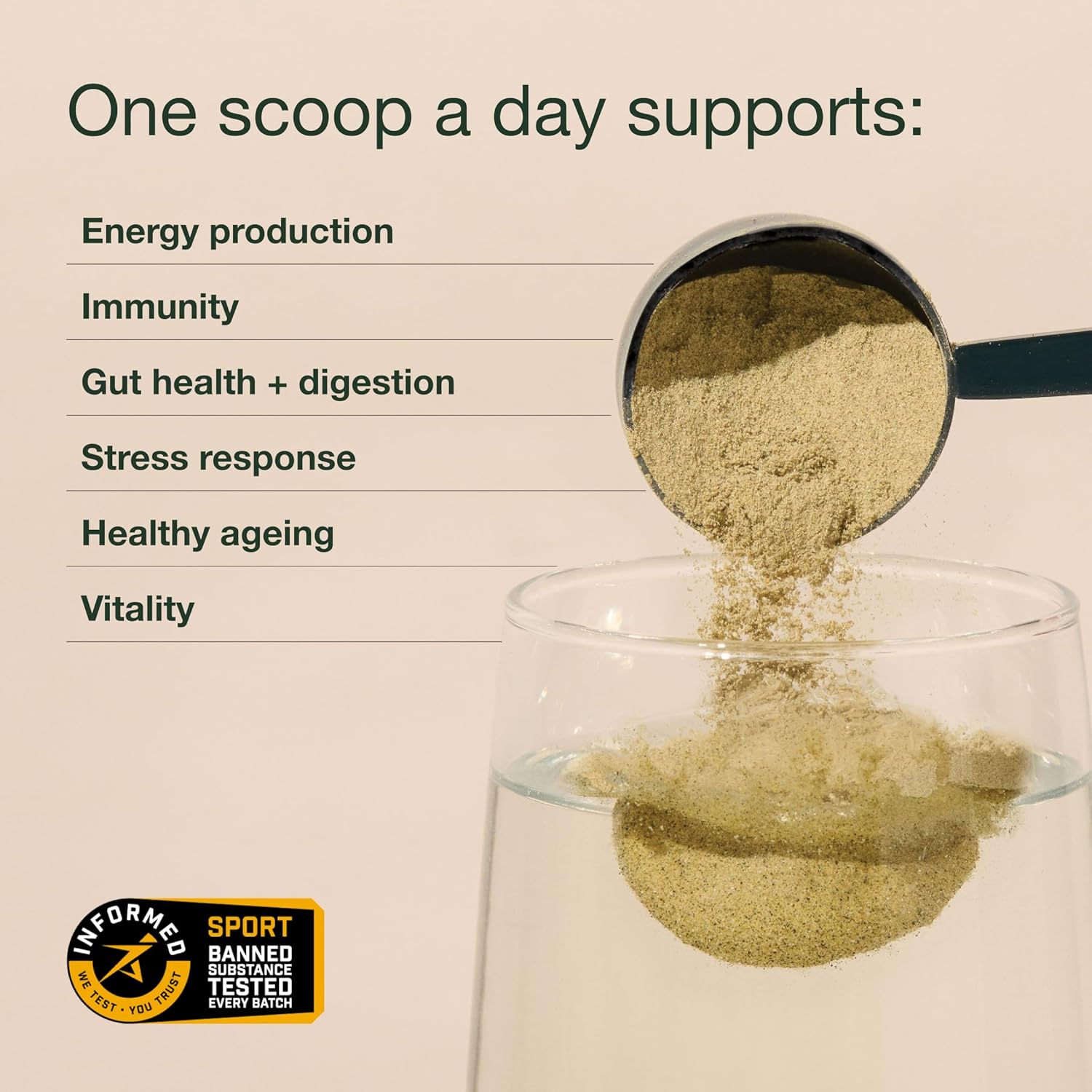 Greens Powder by Nuzest – Good Green Vitality – Filled with Vitamins, Minerals & Superfoods – Vegan Multivitamin Greens Drink - Gluten Free - Dairy Free - 120g - 10 Servings : Amazon.co.uk: Health & Personal Care