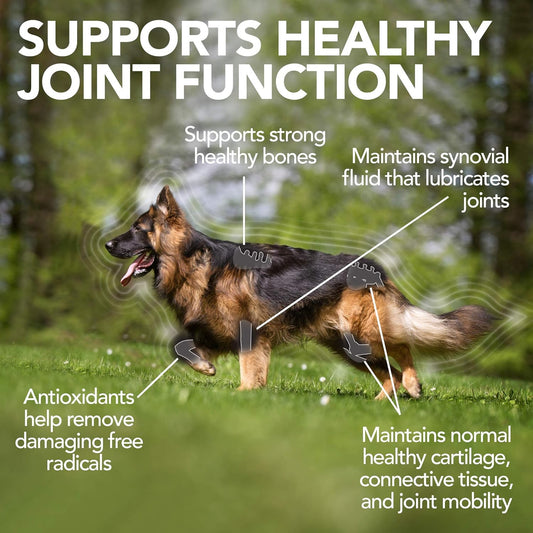 Vet's Best Advanced Hip & Joint Dog Supplements | Formulated with Glucosamine and Chondroitin to Support Dog Joint and Cartilage Health (90 Tablets, 2 Pack)