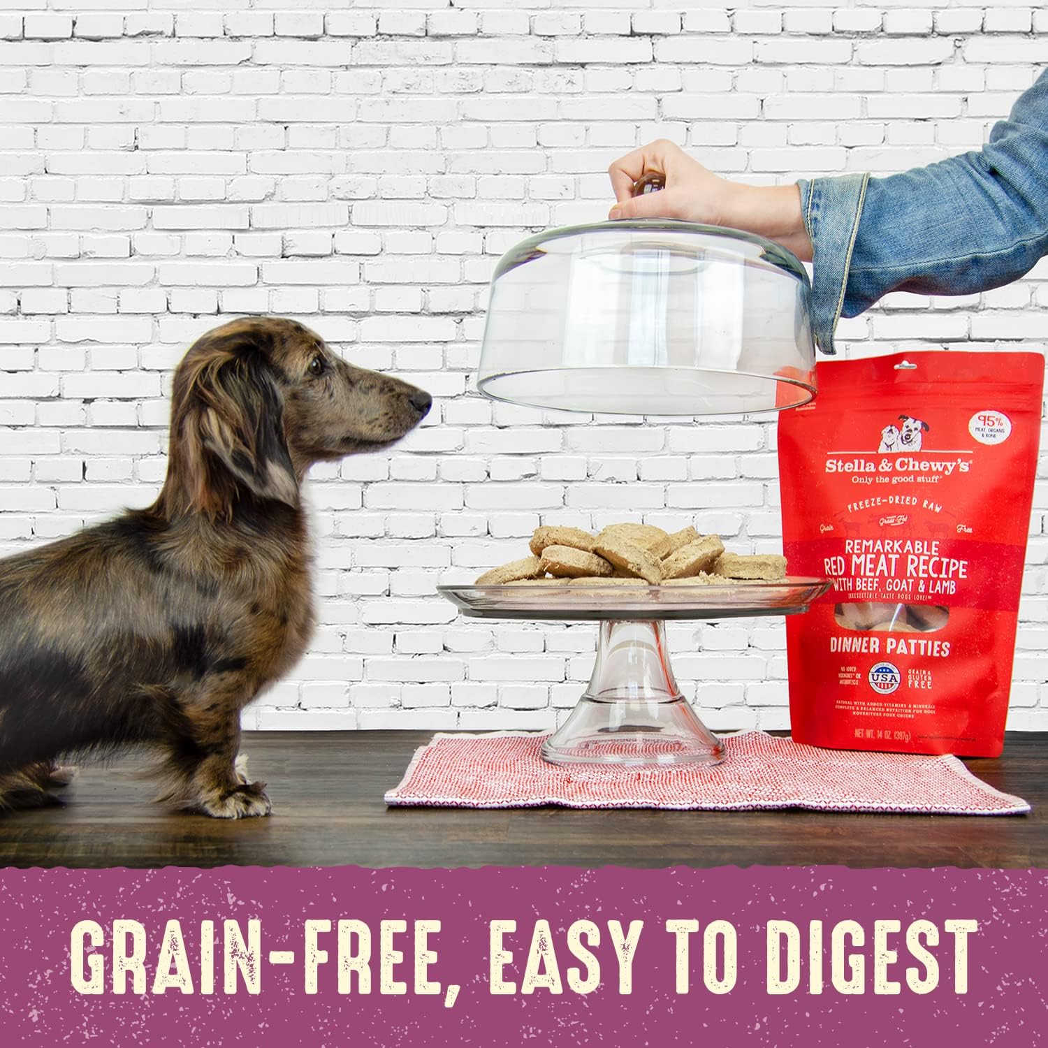 Stella & Chewy's Freeze Dried Raw Dinner Patties – Grain Free Dog Food, Protein Rich Tantalizing Turkey Recipe – 14 oz Bag : Pet Supplies