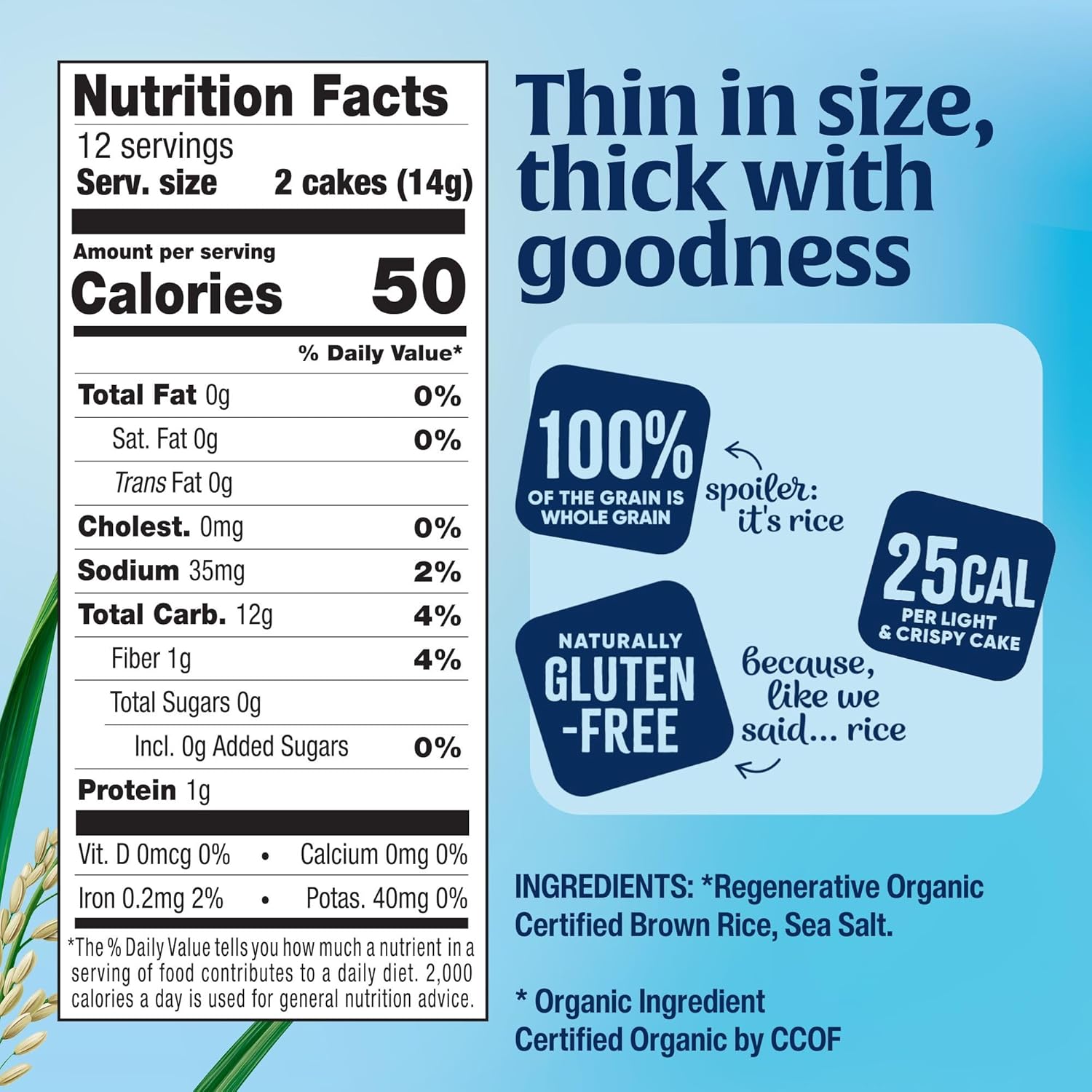 Lundberg Thin Brown Rice Cakes, Lightly Salted, 3-Pack – Regenerative Organic Certified, Healthy Snacks, Vegan, 6 Oz Ea