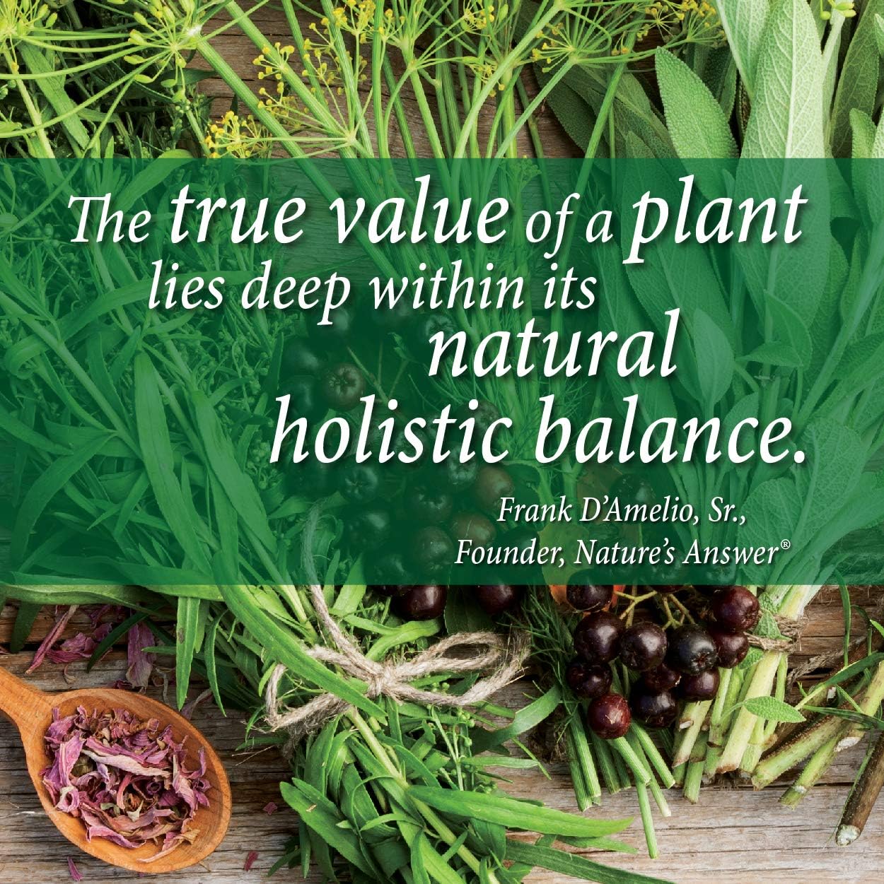 Nature's Answer Vitex Agnus-Castus Chastetree Berry 40mg 90-Capsules | Female Support Supplement | Glute-Free | Non-GMO | Vegan | Single Count : Health & Household