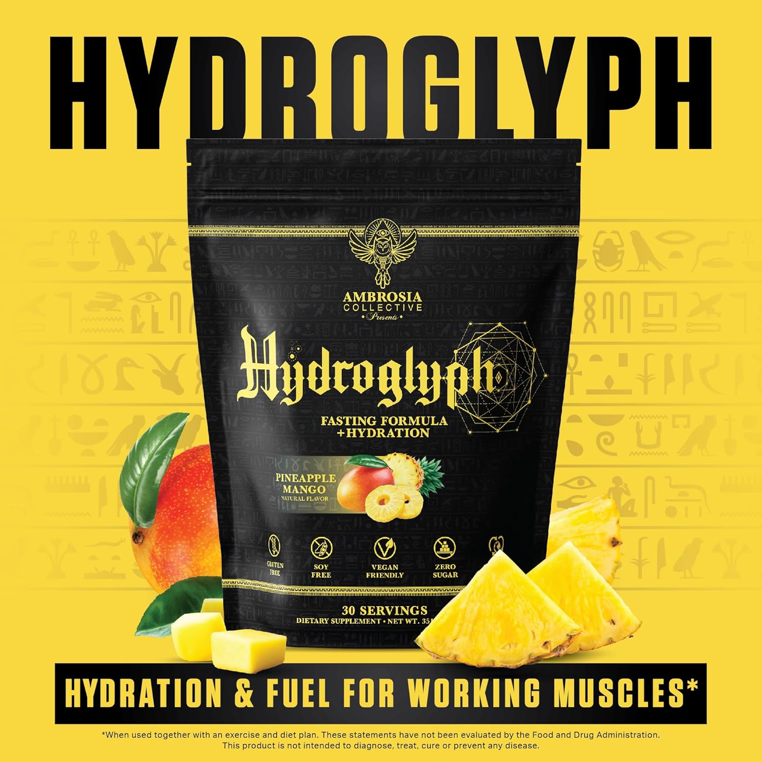 Ambrosia Hydroglyph Intraworkout Formula W/Bcaa + Eaa + Electrolytes Hydration Powder To Protect Lean Muscle, 0G Sugar Fasting Hydration Drink Mix, Made W/Coconut Water (Strawberry Watermelon) : Health & Household