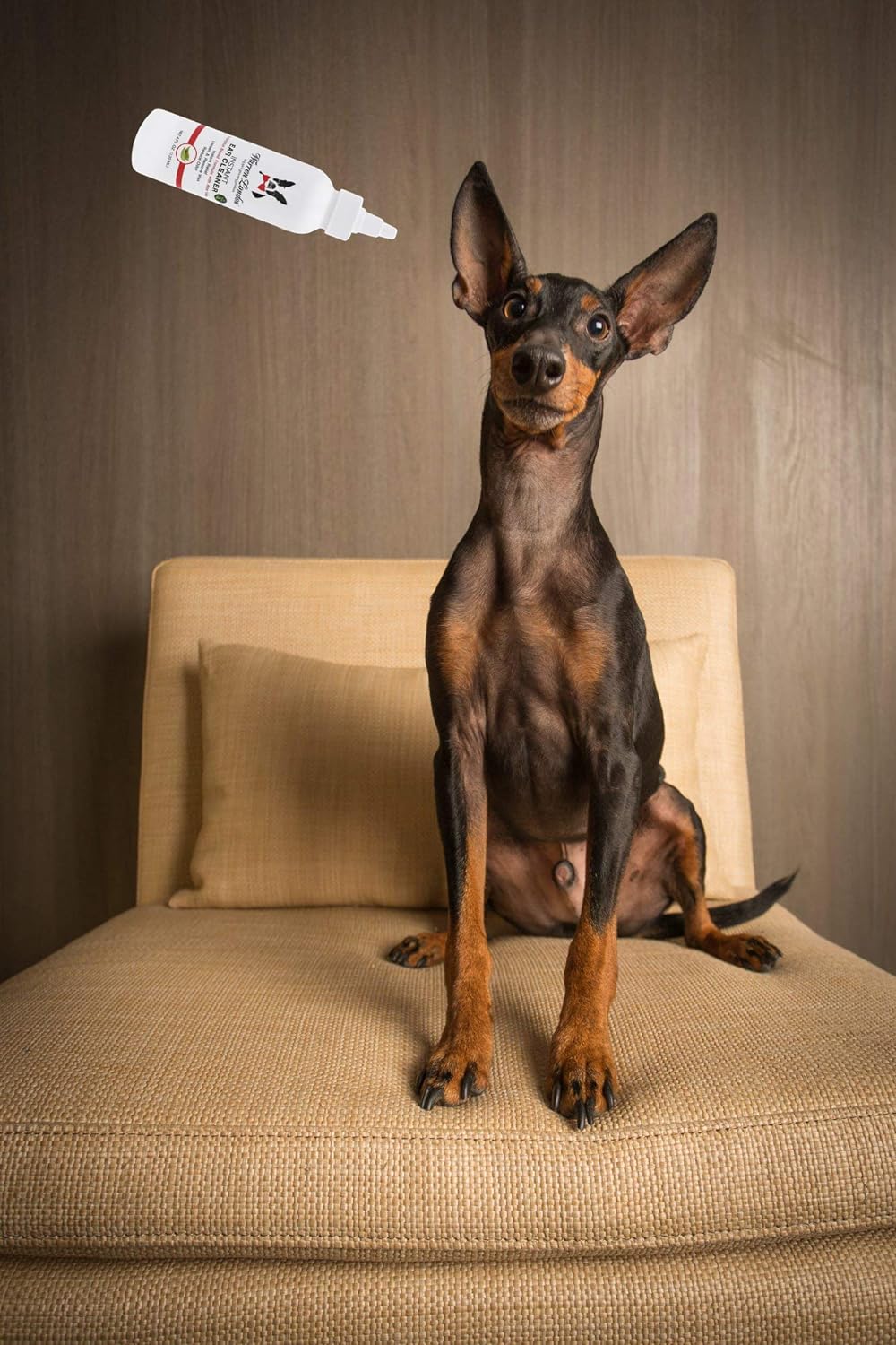 Warren London Instant Ear Cleaner- Dog Ear Drops w/Aloe to Prevent Irritation | Made USA | 12oz : Pet Supplies