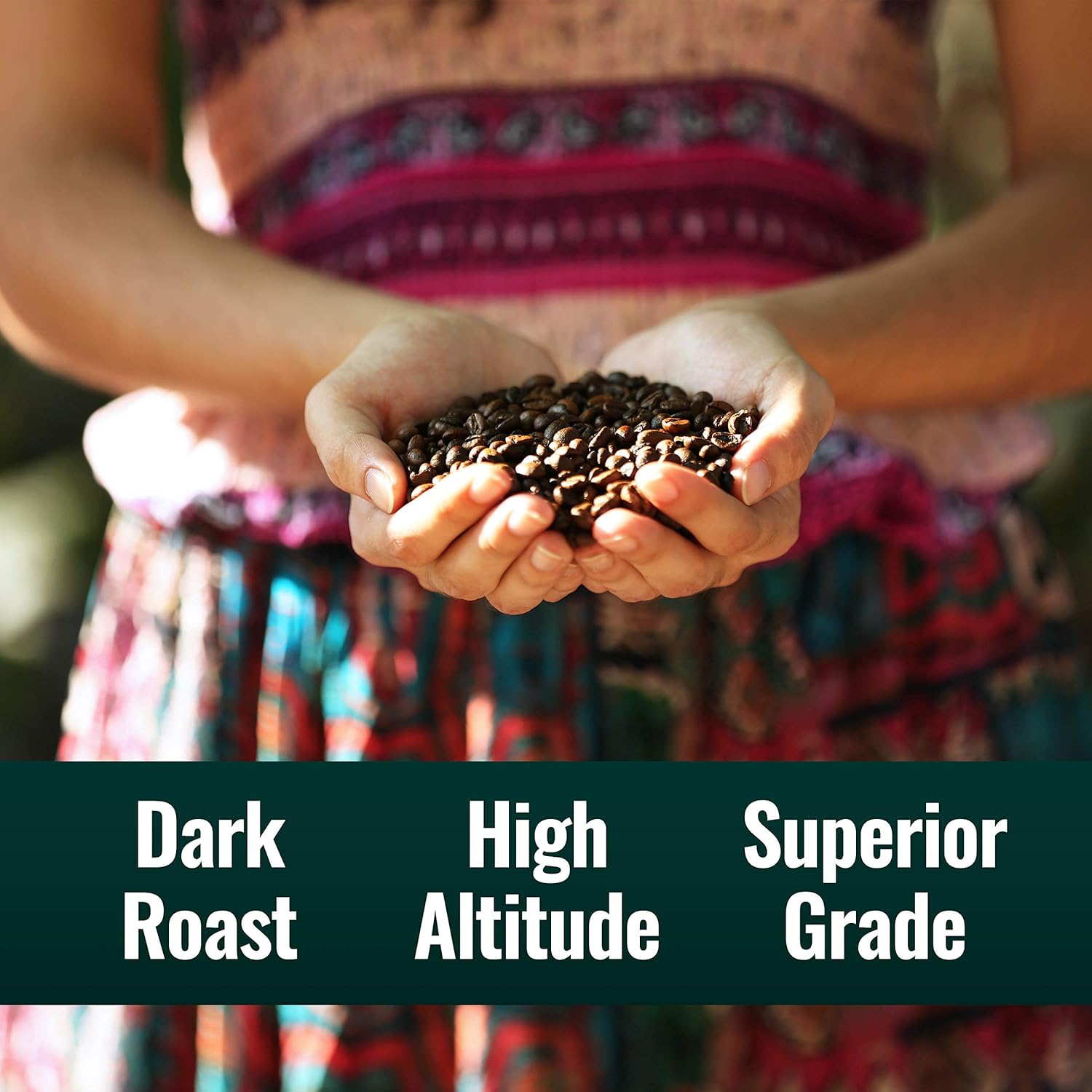 Natural Force - Organic Clean Coffee Dark, Mold & Mycotoxin Free, Lab Tested For Toxins & Purity, Low Acidity, Incredible Taste & Aroma, Founder'S Select Whole Bean Dark Roast, 12 Oz