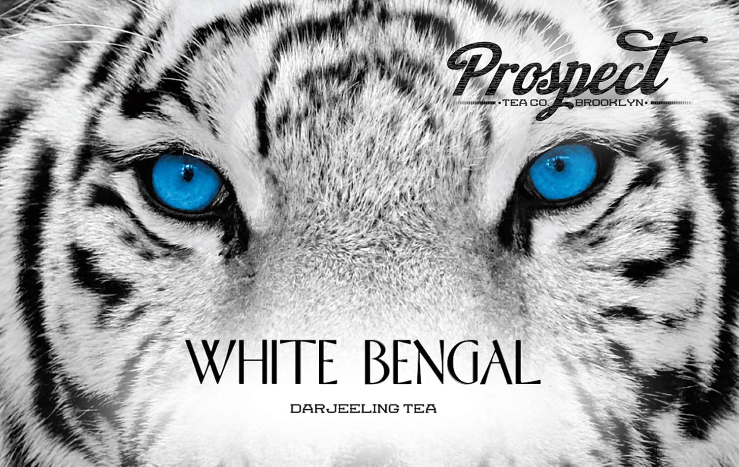 Prospect Tea White Bengal Darjeeling Tea Pods Compatible With K Cup Brewers Including 2.0, 40 Count