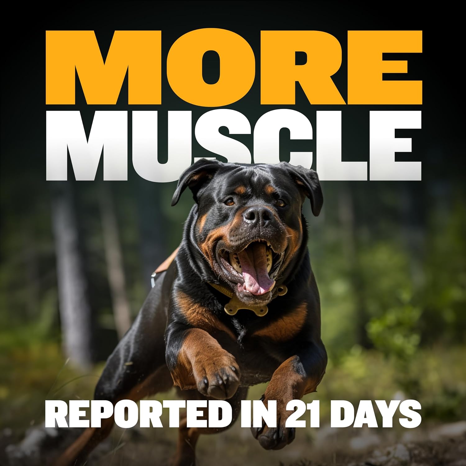 Bully Max Muscle Builder Chews for Dogs and Puppies - Puppy and Adult Dog Food Supplements for Muscle Gain - for All Dog Breeds & Ages : Pet Supplies