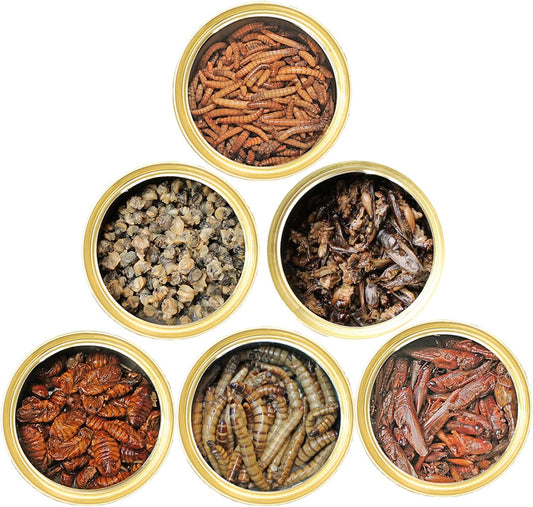 Canned Insect Assortment 6 Pack - Healthy High Protein Treat - For Hedgehogs, Sugar Gliders, Reptiles, Chickens, Lizards, Bearded Dragons, Turtles, Fish, Birds, Opossums, Skunks And Other Insectivores