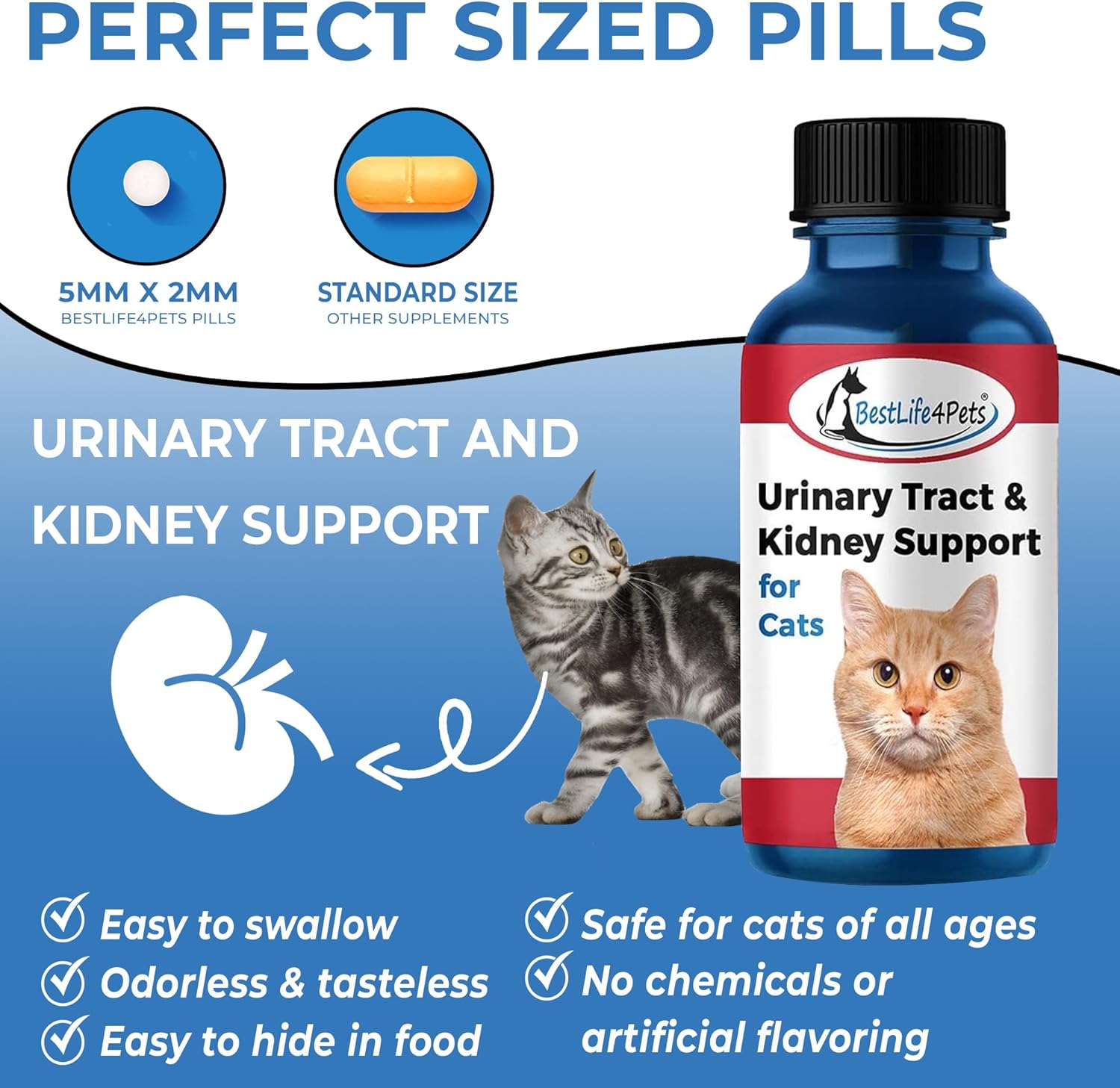 BestLife4Pets Cat UTI Urinary Tract Infection & Kidney Support Treatment - All Natural Medicine to Stop Frequent Urination - Cats Renal Health and Bladder Control - Easy to Use Natural Pills : Pet Supplies