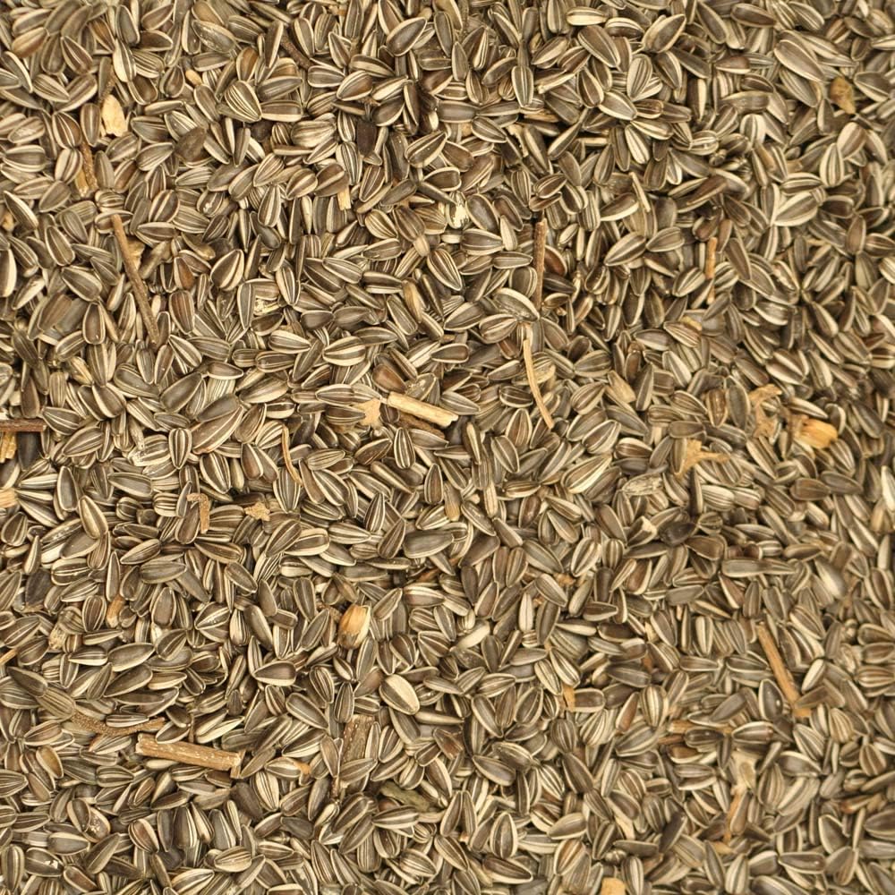 Johnston & Jeff Medium Striped Sunflower Seed 10Kg - Wild Bird Seed :Garden