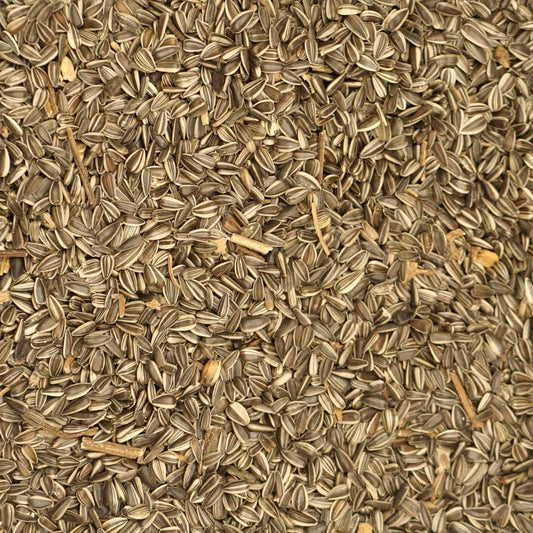 Johnston & Jeff Medium Striped Sunflower Seed 10Kg - Wild Bird Seed :Garden