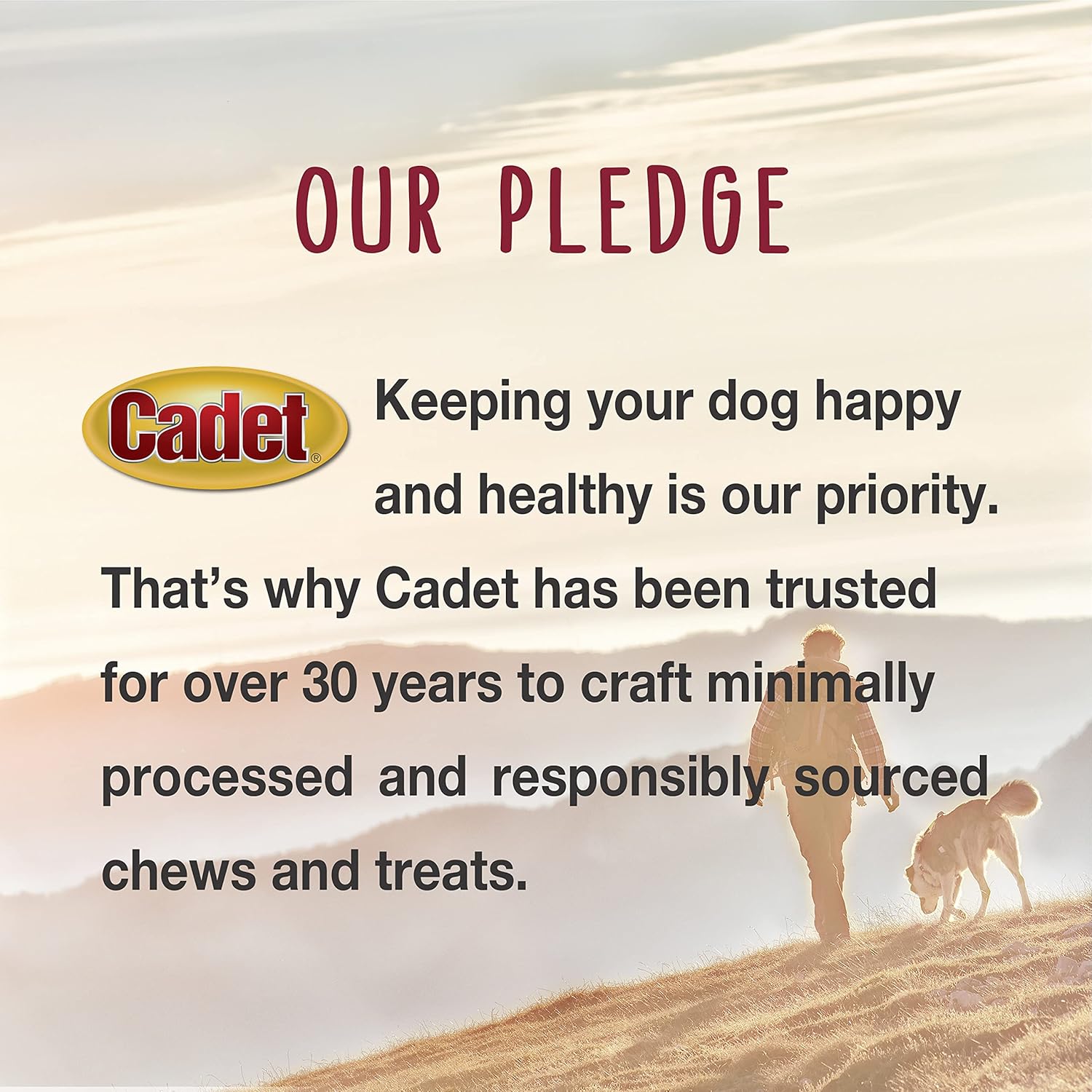 Cadet Smoked Shin Bone Display Large, 12 Count : Pet Rawhide Treat Sticks : Pet Supplies