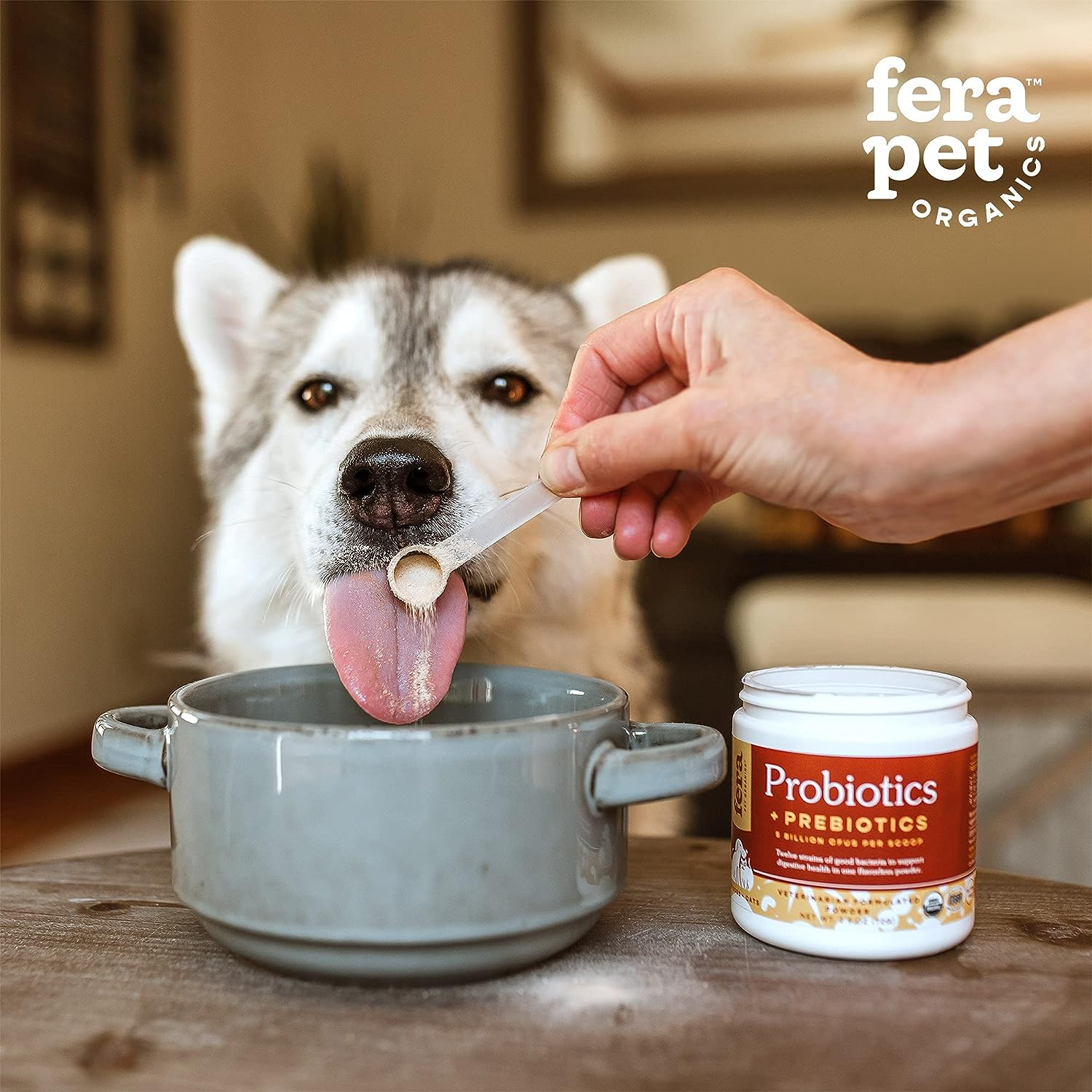 Fera Pets Organic Probiotics for Dogs & Cats - Cat & Dog Probiotic Supplement with 12 Strains & Prebiotics for Your Pet’s Digestion - 60 Scoops? : Pet Supplies