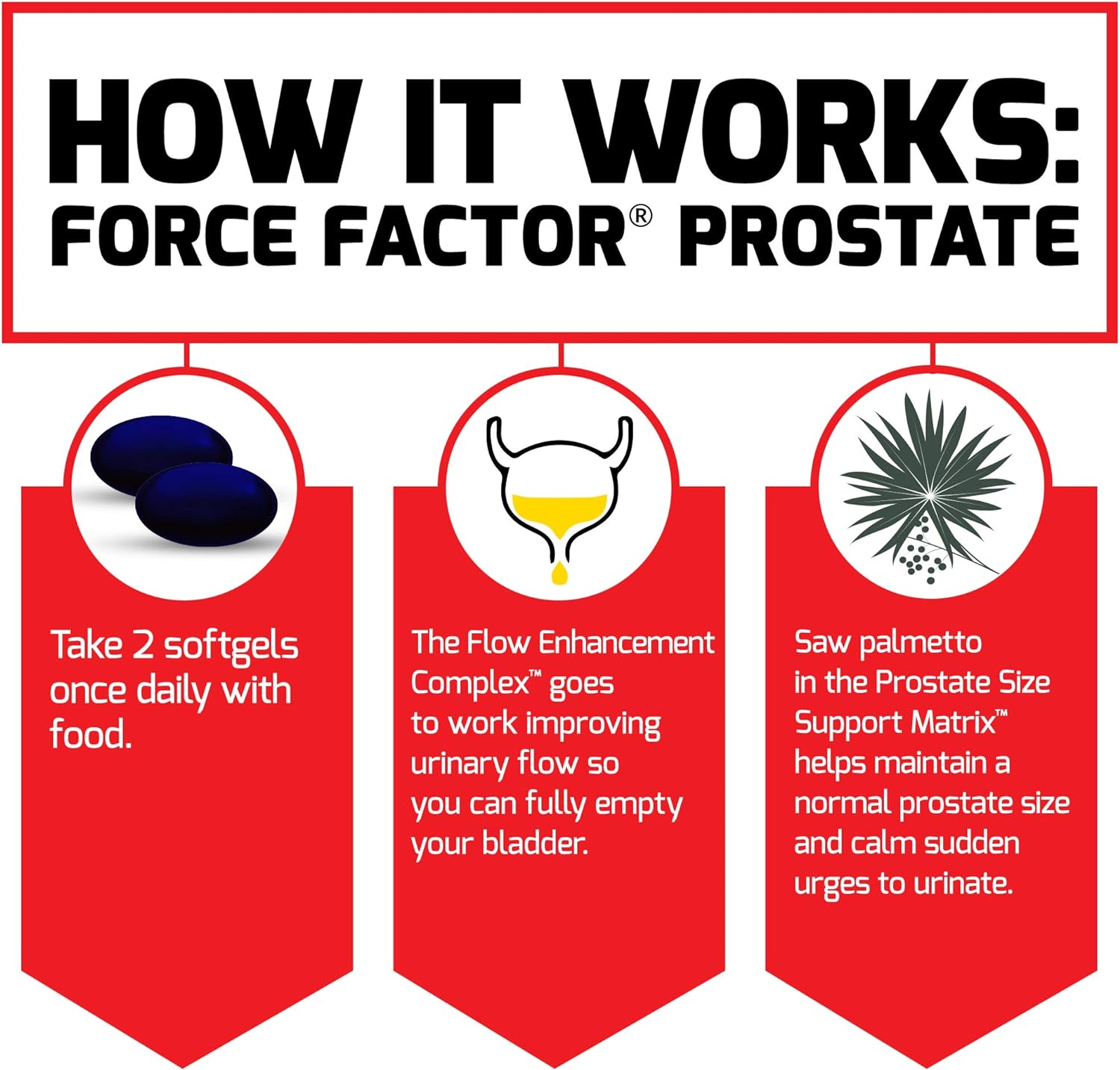 Force Factor Prostate Saw Palmetto and Beta Sitosterol Supplement for Men, Prostate Health/Size Support, Urinary Relief, Bladder Control, Reduce Nighttime Urination, 60 Softgels : Health & Household
