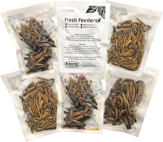 Fresh Feeders (Insect Variety) - All Natural High Protein Insect Treat - Single Serving Pouches - Chickens, Wild Birds, Hedgehogs, Bluebirds, Reptiles, Sugar Gliders, Opossums, Skunks, Lizards