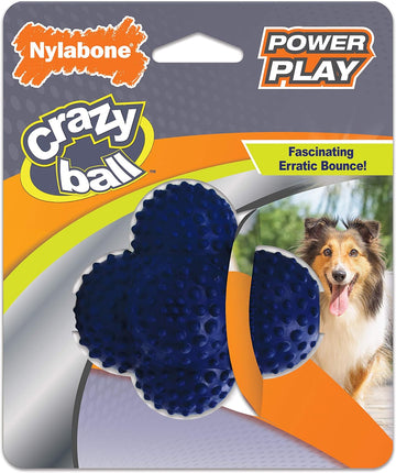 Nylabone Power Play Crazy Ball Interactive Play Toy, Fetch Ball Toy For Dogs, Large (1 Count)