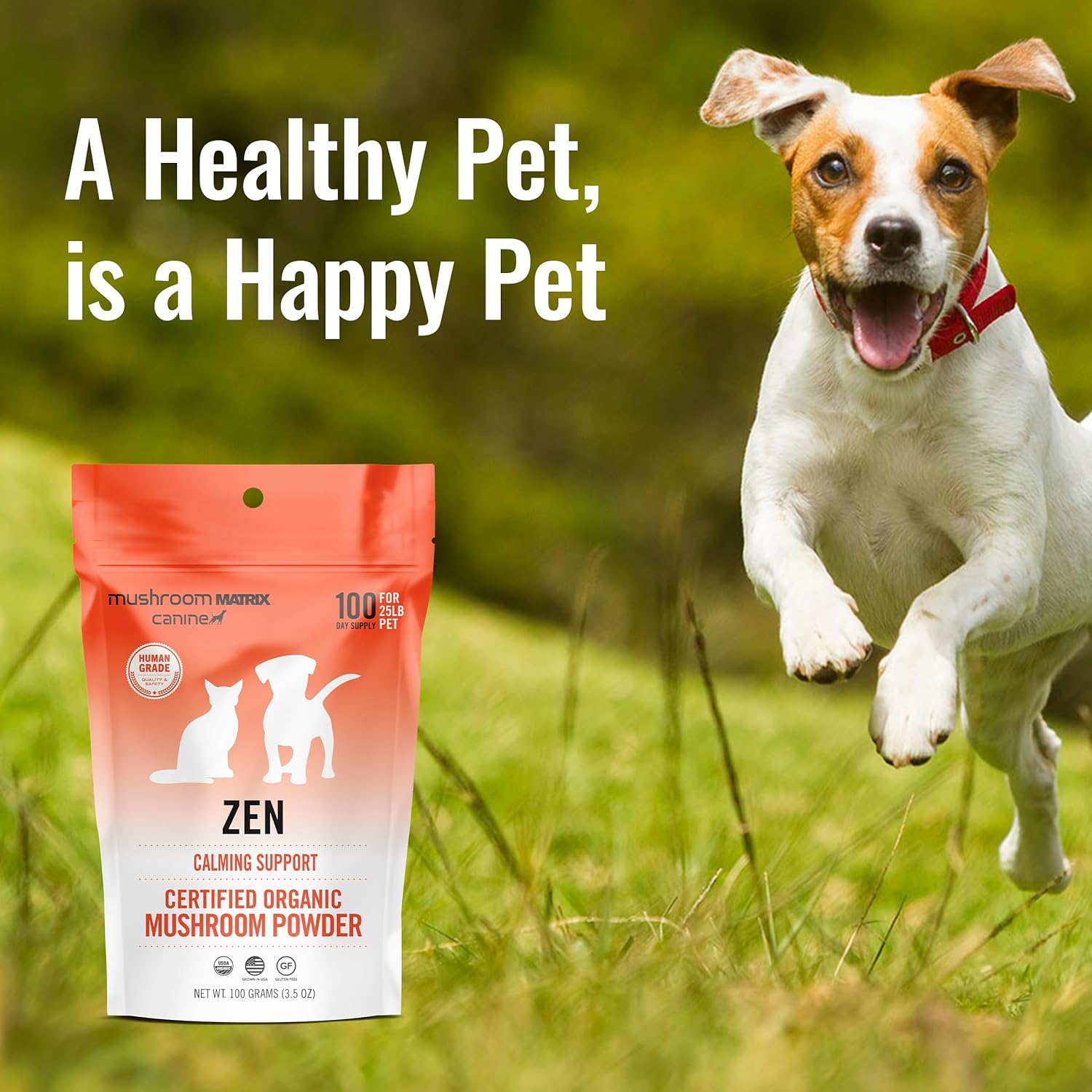 Om Mushroom Matrix Pet - Canine | Zen Matrix Mushroom Blend | Usa Grown Human-Grade Organic Mushroom Powder Pet Supplement | Calming Soothing Support For Dogs & Cats | 100 Grams, 3.5 Oz : Pet Supplies