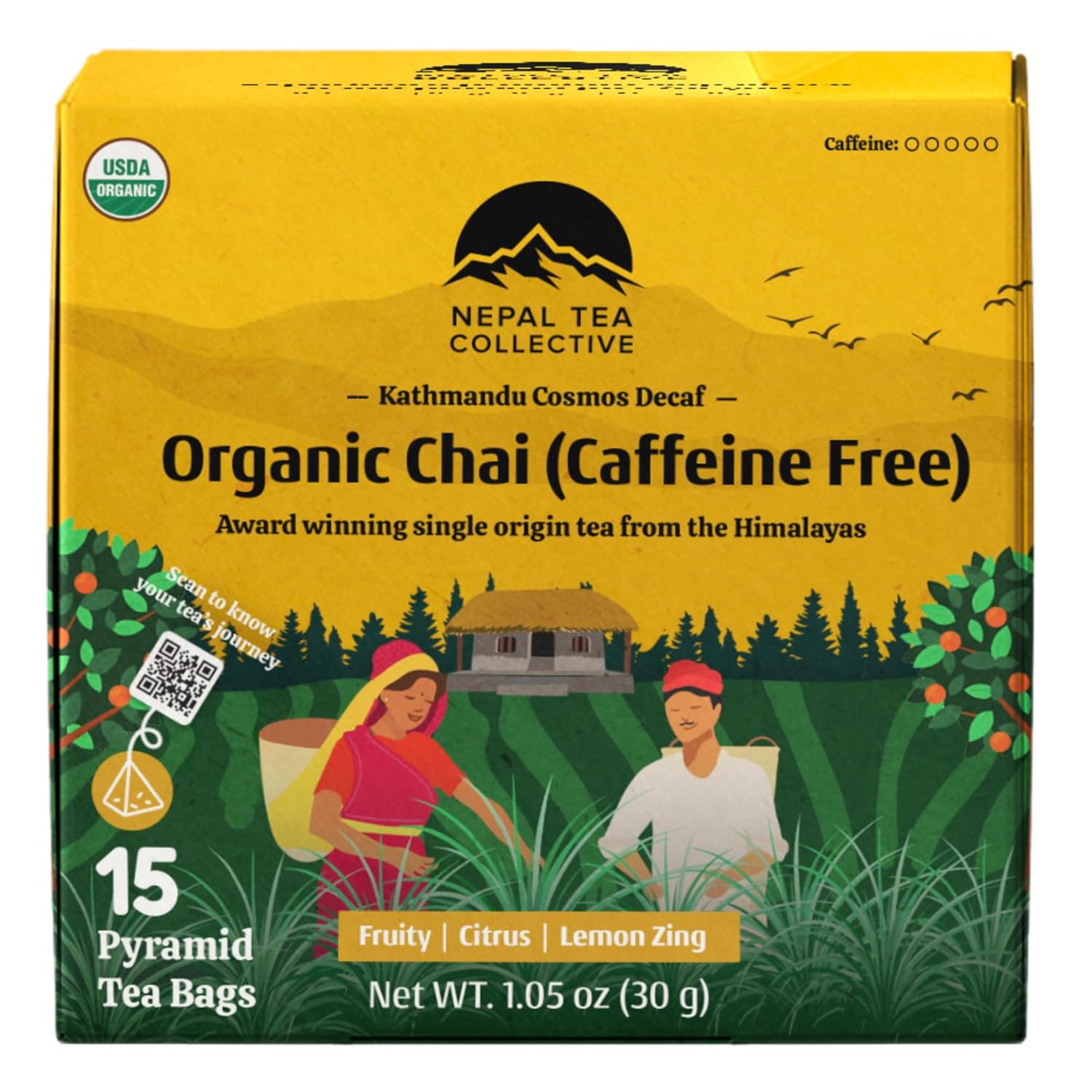 Nepal Tea Organic Herbal Chai Tea Bags From The Himalayas - 15 Pyramid Tea Bags, Single Origin Chai Tea From A Family Farm - Caffeine Free Tea Bags With Loose Leaf Tea Inside (Kathmandu Cosmos)