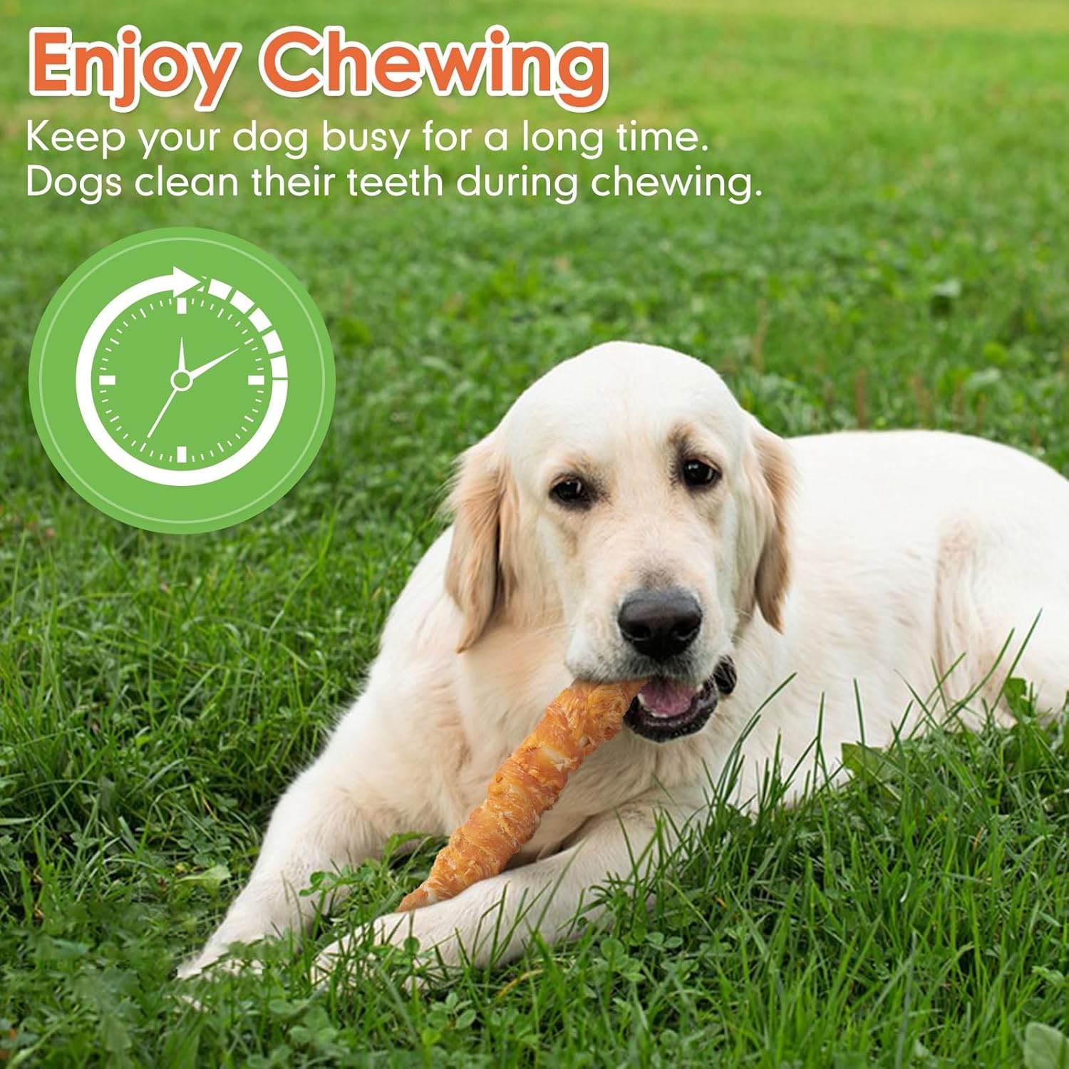 MON2SUN Dog Treats, 9 Inch Chicken Wrapped Rawhide Rolls Dog Snacks, Teeth Cleaning and Long Lasting Dog Chews for Medium and Large Dogs, 23.28oz (6 Count-Pack of 1) : Pet Supplies