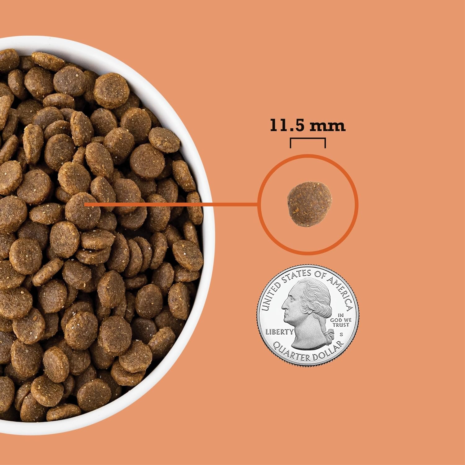 ACANA Grain Free Dry Dog Food, Puppy Recipe, 13lb : Pet Supplies