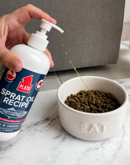 Plato Baltic Sprat Oil Recipe 8Oz