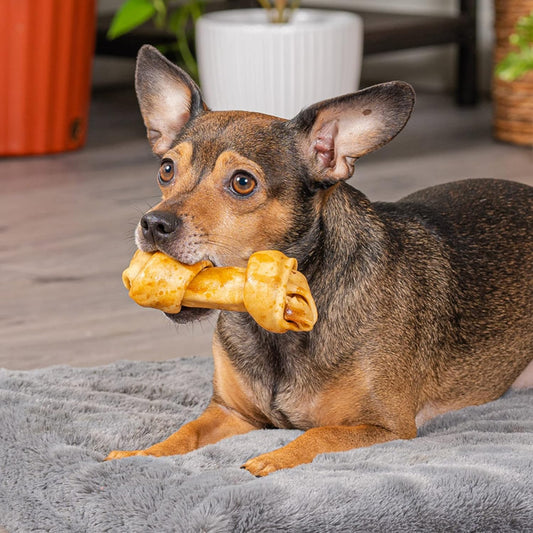 Pet Factory American Beefhide 4-5" Knotted Bones Dog Chew Treats - Chicken Flavor, 8 Count/1 Pack