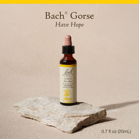 Bach Original Flower Remedies, Gorse for Hope, Natural Homeopathic Flower Essence, Holistic Wellness and Stress Relief, Vegan, 20mL Dropper