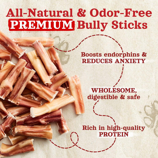 Natural Farm Odor Free Bully Sticks (2-3 Inch, 1 Pound) For Small & Medium Dogs - 100% Beef Chews For Pups, Non-Gmo, Grain-Free, Fully Digestible Long Lasting Dog Treats