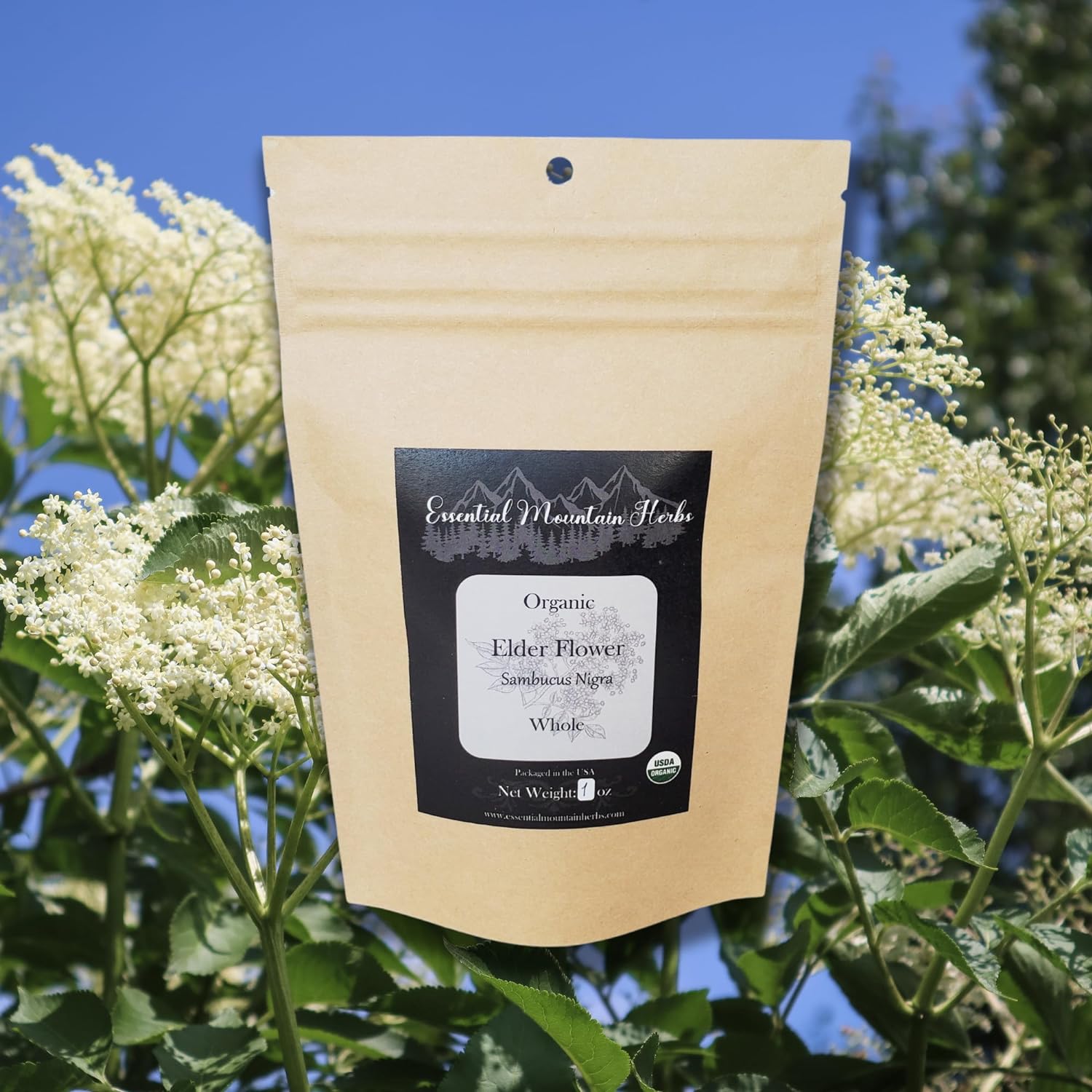 Organic Elder Flower Whole 4 Ounces : Health & Household