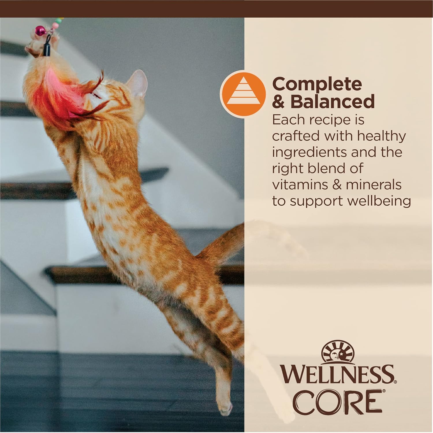 Wellness CORE Tiny Tasters Wet Cat Food, Complete & Balanced Natural Pet Food, Made with Real Meat, 1.75-Ounce Pouch, 12 Pack (Adult Cat, Minced Chicken in Gravy) : Grocery & Gourmet Food