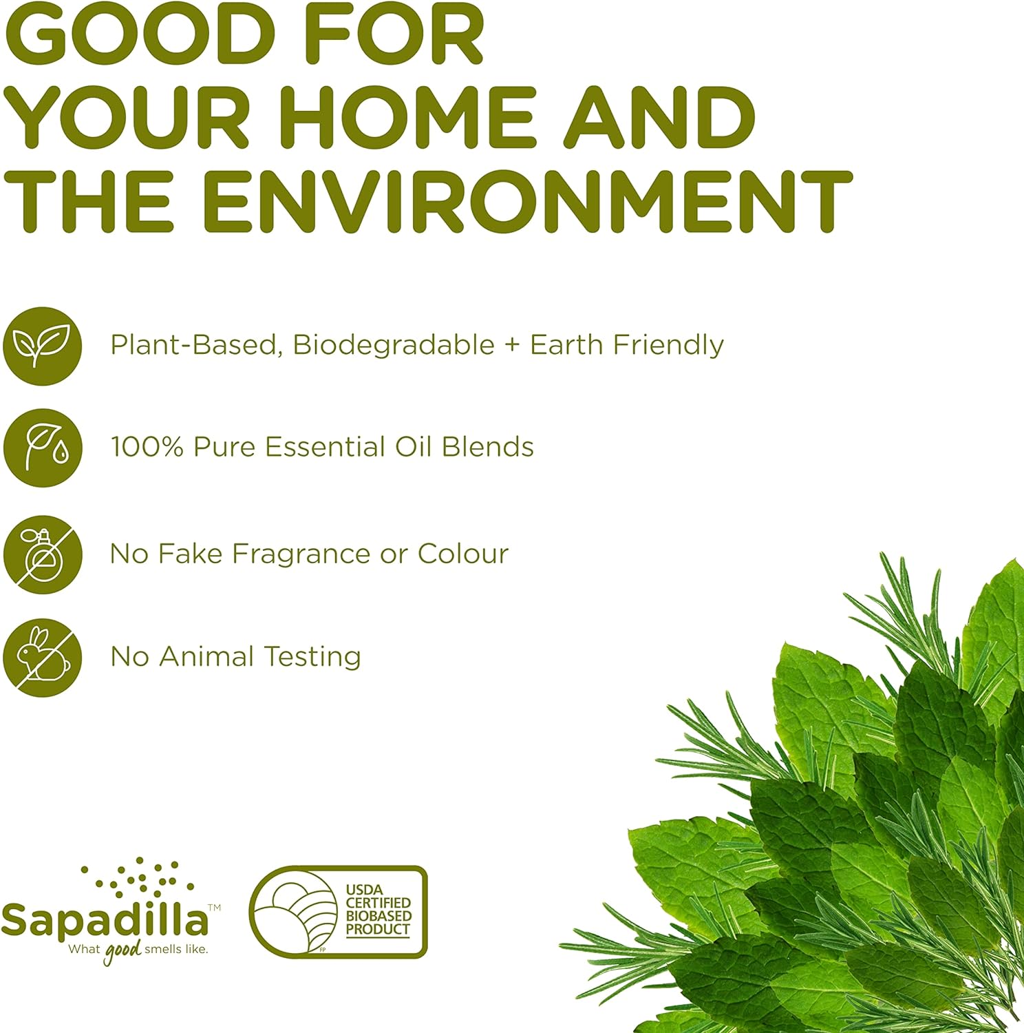 Sapadilla Liquid Dish Soap - Rosemary + Peppermint - Made with 100% Pure Essential Oil Blends, Tough on Grease, Aromatic & Fragrant Dishwashing Liquid, Plant Based, Biodegradable, 12 Ounce (Pack of 1) : Home & Kitchen