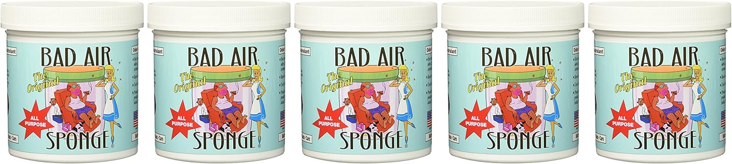 Bad Air Sponge neutralizes and absorbs odors 14oz, 14 Ounce (Pack of 5), clear 5 Count : Health & Household