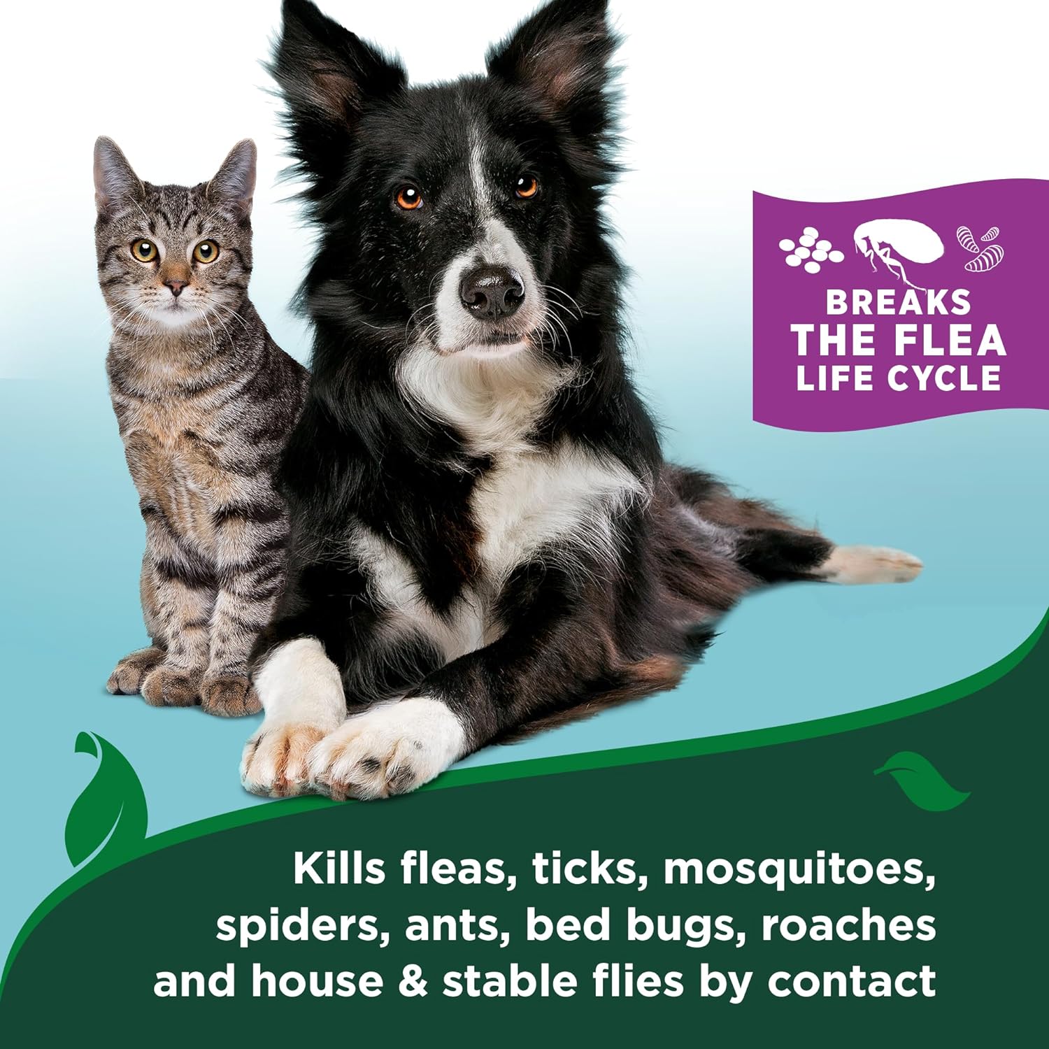 Vet’s Best Flea & Tick Waterless Bath for Cats – Cat Waterless Bath – Cotton Spice Scent – Natural Flea and Tick Prevention – Kills Fleas & Ticks on Contact – 8oz : Pet Supplies