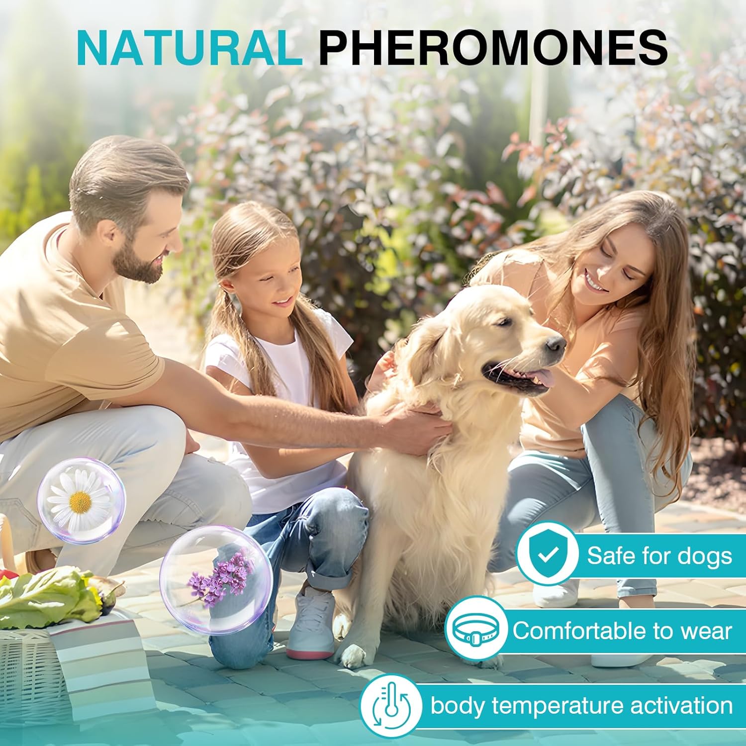 Calming Collar for Dogs 6 Packs Dog Pheromone Collars Relief Anxiety Stress Separation and Bad Behavior Pheromones Calm Lasts 60 Days 25 Inches Size Adjustable Waterproof Fit Small Large Medium Breed : Pet Supplies