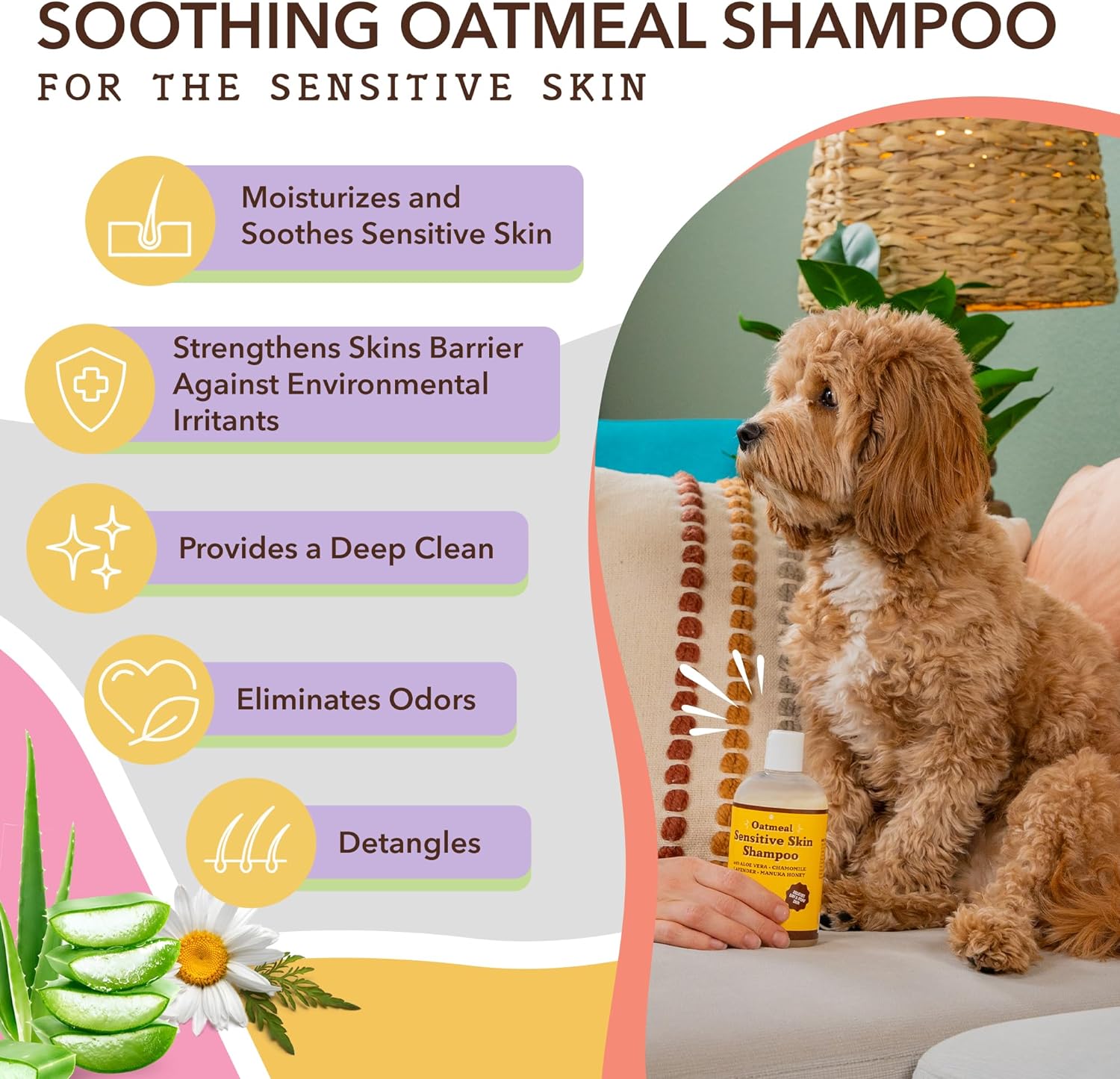 Natural Dog Company Skin & Coat Chews (90-pcs) Bundle with Sensitive Skin Oatmeal Shampoo (12 oz) | Daily Supplement with Sensitive Skin Shampoo | Gentle Cleaning for Healthier Skin and Coats : Pet Supplies