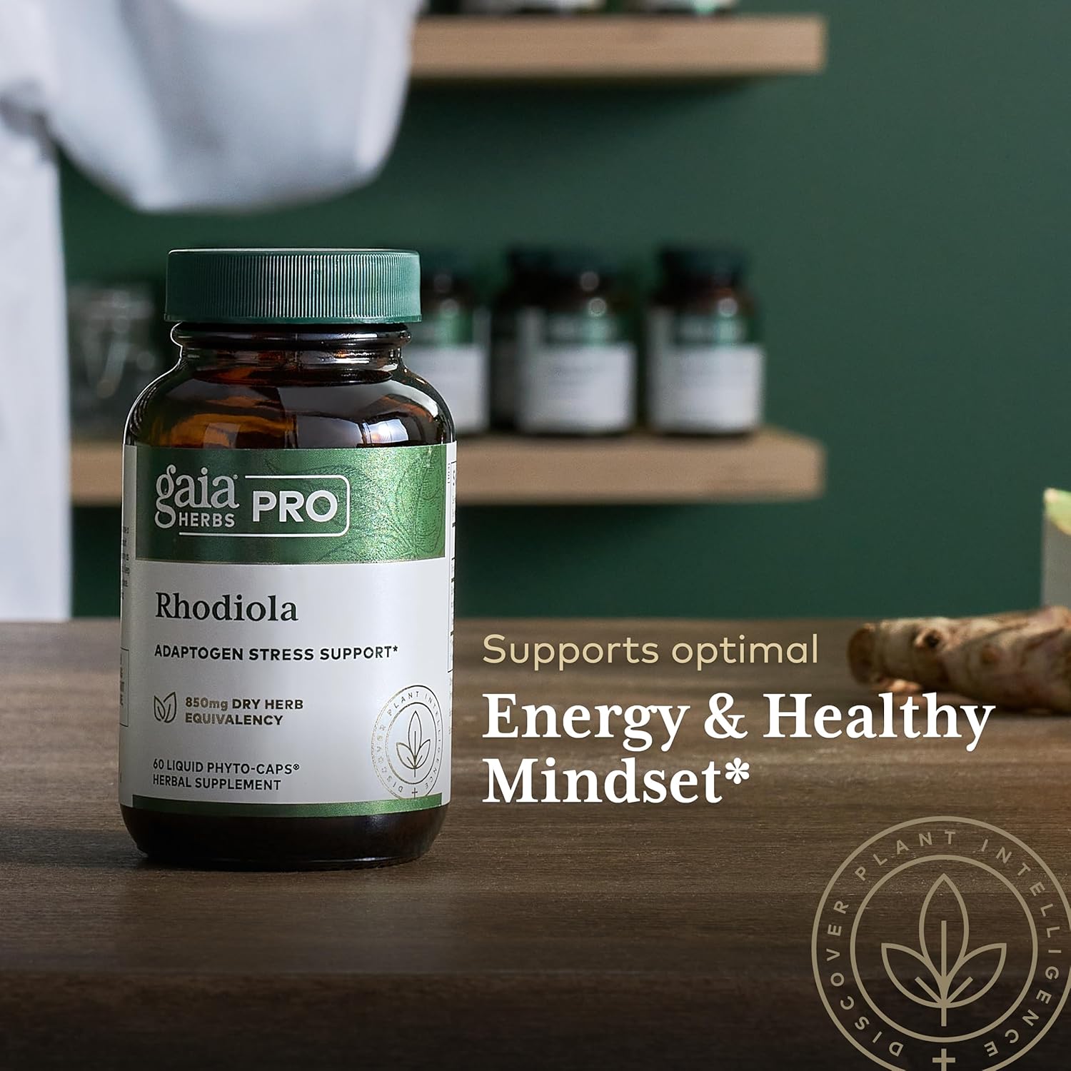 Gaia Herbs Pro Rhodiola - for Adaptogen Stress Support & Relief - with Rhodiola Rosea, Rosavins, Vegetable Glycerin & More - 60 Vegan Liquid Phyto-Capsules (60 Servings) : Health & Household