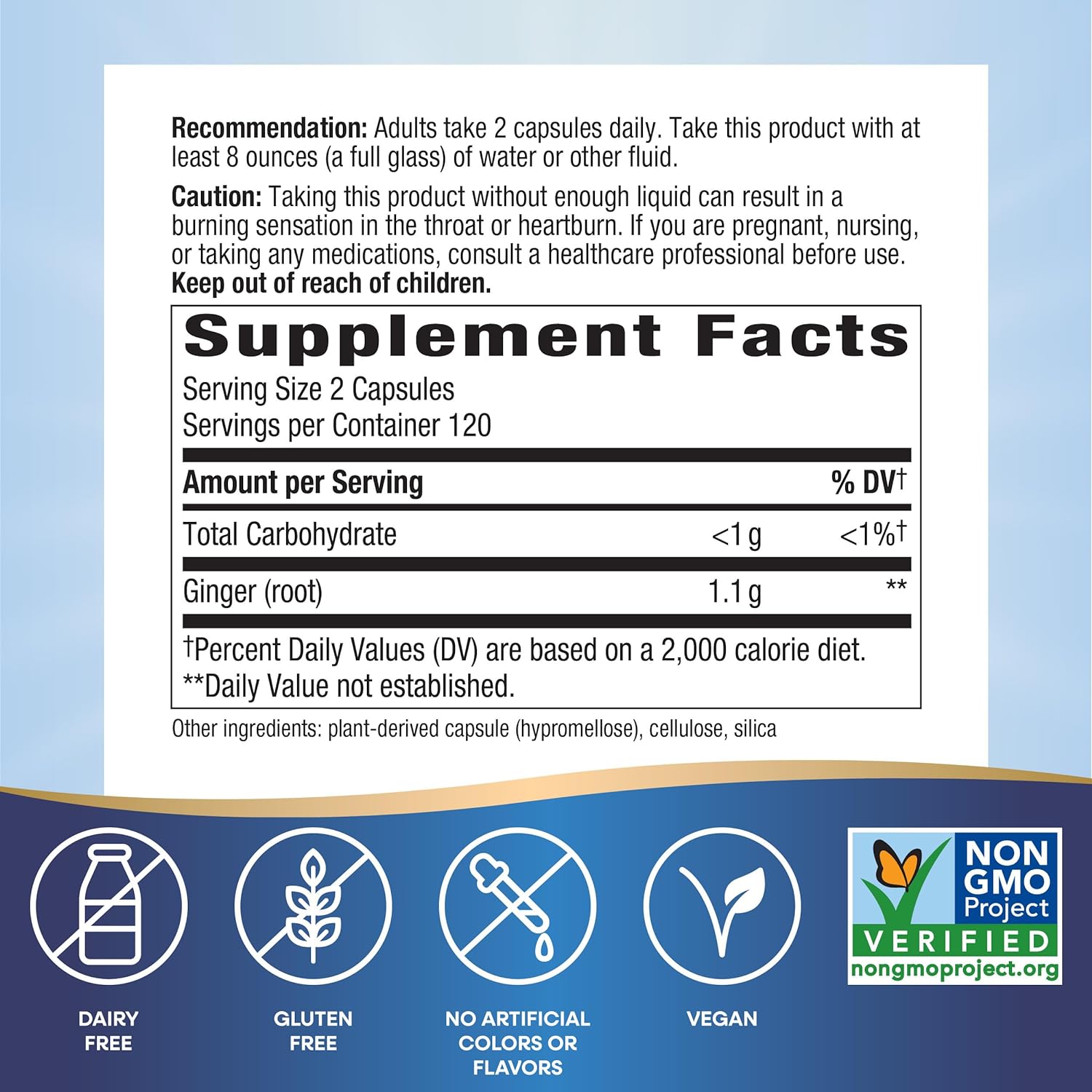 Nature's Way Ginger Root, Promotes Digestive Comfort*, 1,100 mg Per 2-capsule Serving, Non-GMO Project Verified, Vegan, 240 Capsules (Packaging May Vary) : Health & Household