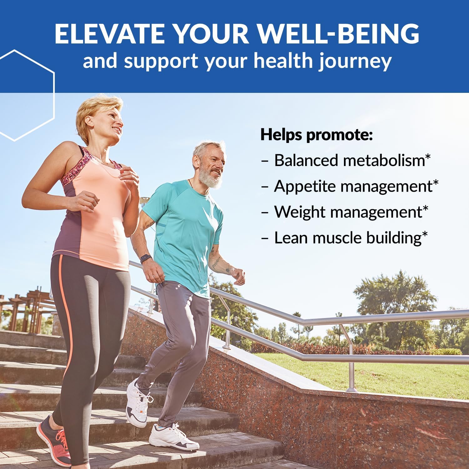 Biotrust Low Carb Protein Powder – Delicious Whey & Casein Blend From Grass-Fed Hormone Free Cows – Non Gmo, Gluten Free (Chocolate Peanut Butter) : Health & Household