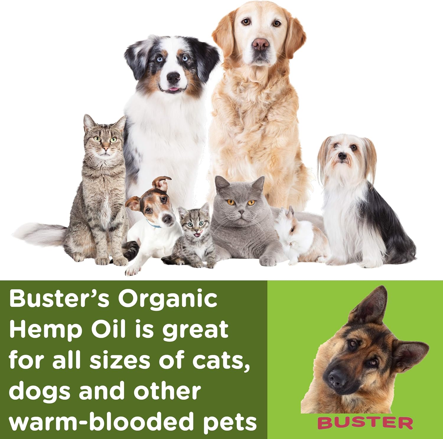 Buster's Organic Hemp Oil Large 60 Milliliters 2-Pack for Dogs & Cats - Max Potency - Made in USA - Omega Rich 3, 6 & 9 - Hip & Joint Health, Natural Relief, Calming (60,000MG) : Pet Supplies