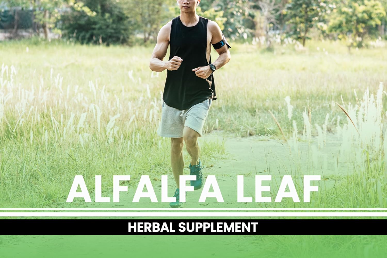 Pure Original Ingredients Alfalfa Leaf (365 Capsules) No Magnesium Or Rice Fillers, Always Pure, Lab Verified : Health & Household