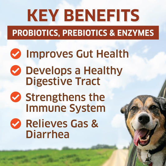 Probiotics for Dogs - Hot Spot Remedy for Dogs + Prebiotic - Dog Allergy Chews - Improve Digestion & Upset Tummy, Relieve Gas & Diarrhea, Dog Probiotics and Digestive Enzymes, 120 Dog Probiotic Chews