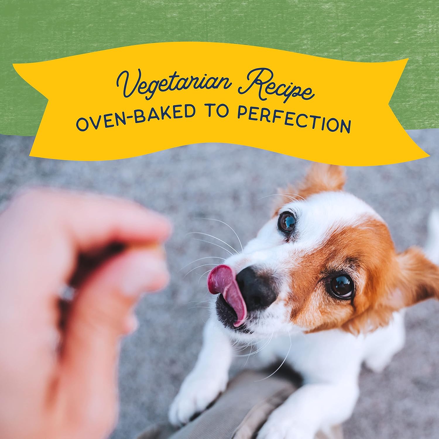 Natural Balance Limited Ingredient Rewards Crunchy Biscuits, Bite-Size Vegetarian Dog Treats for Small-Breed Adult Dogs, Peanut Butter Recipe, 8 Ounce (Pack of 1) : Pet Supplies