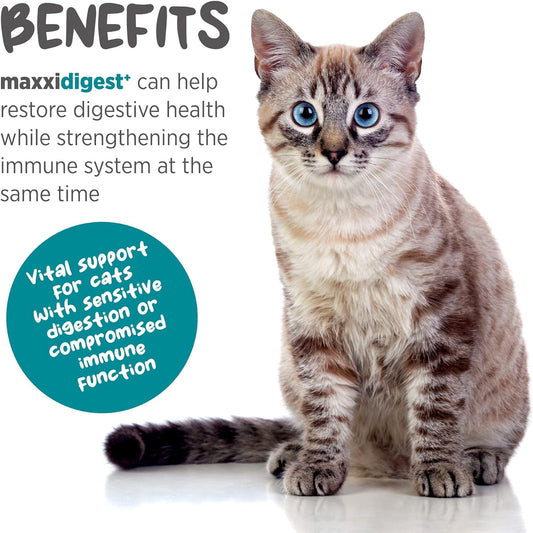 maxxidigest+ Digestive and Immune Support Supplement for Cats with Probiotics, Prebiotics and Digestive Enzymes – 7 oz