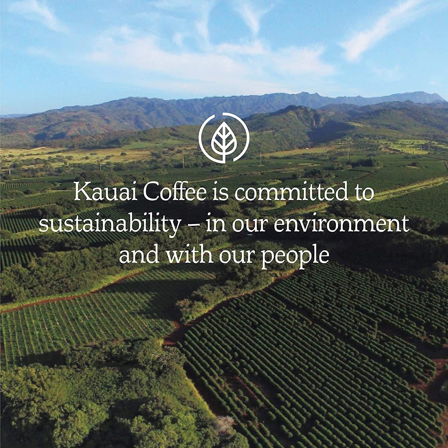 Kauai Coffee Garden Isle Medium Roast – Individually Wrapped Compostable Pods Compatible With Keurig Pods K-Cup Brewers (1 Pack Of 20 Single-Serve Cups)
